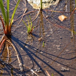 2015-07 Savoie/Lac blanc/DSC_0290.JPG